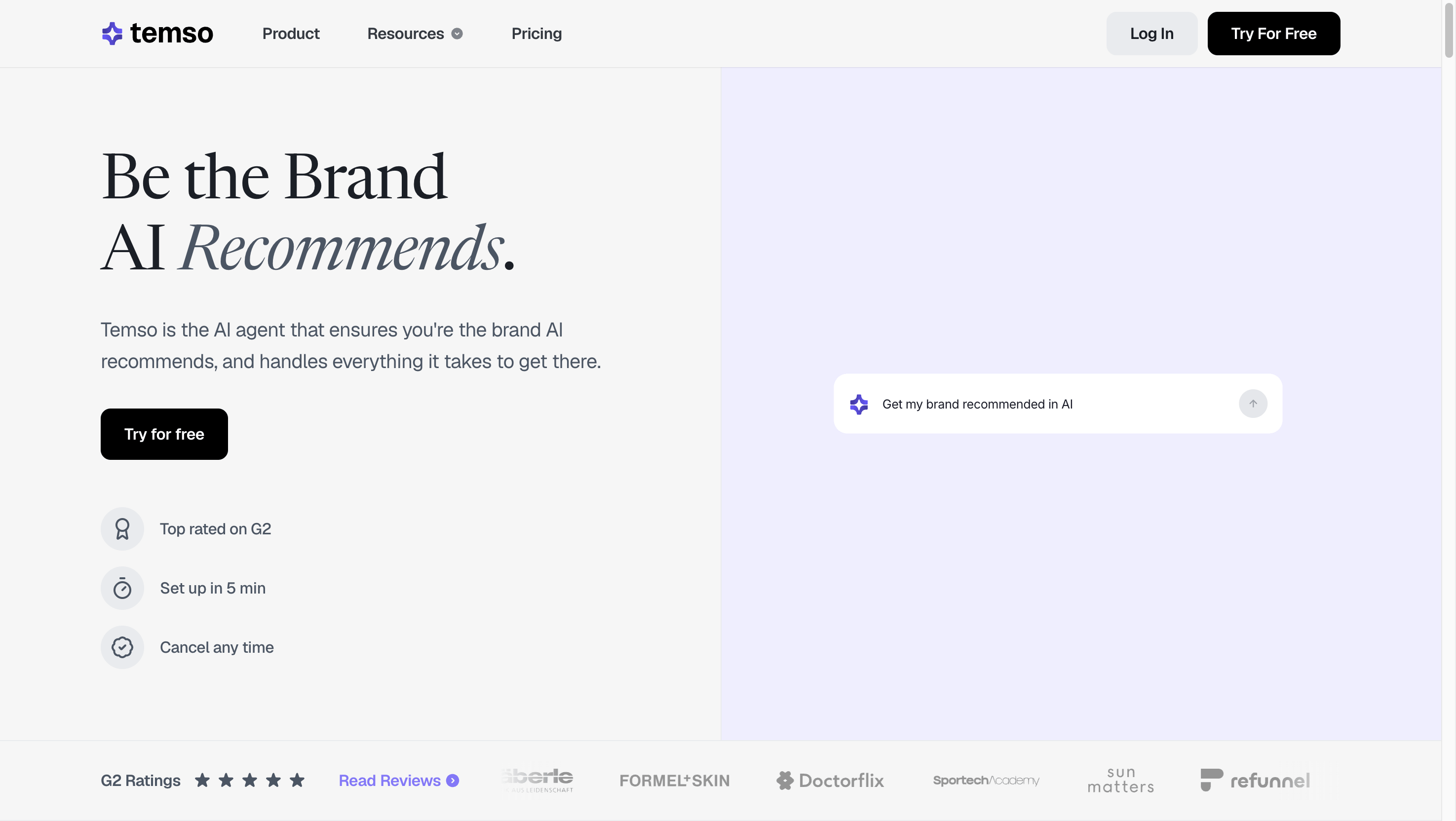 Temso AI homepage screenshot showing the conversational agent entry point
