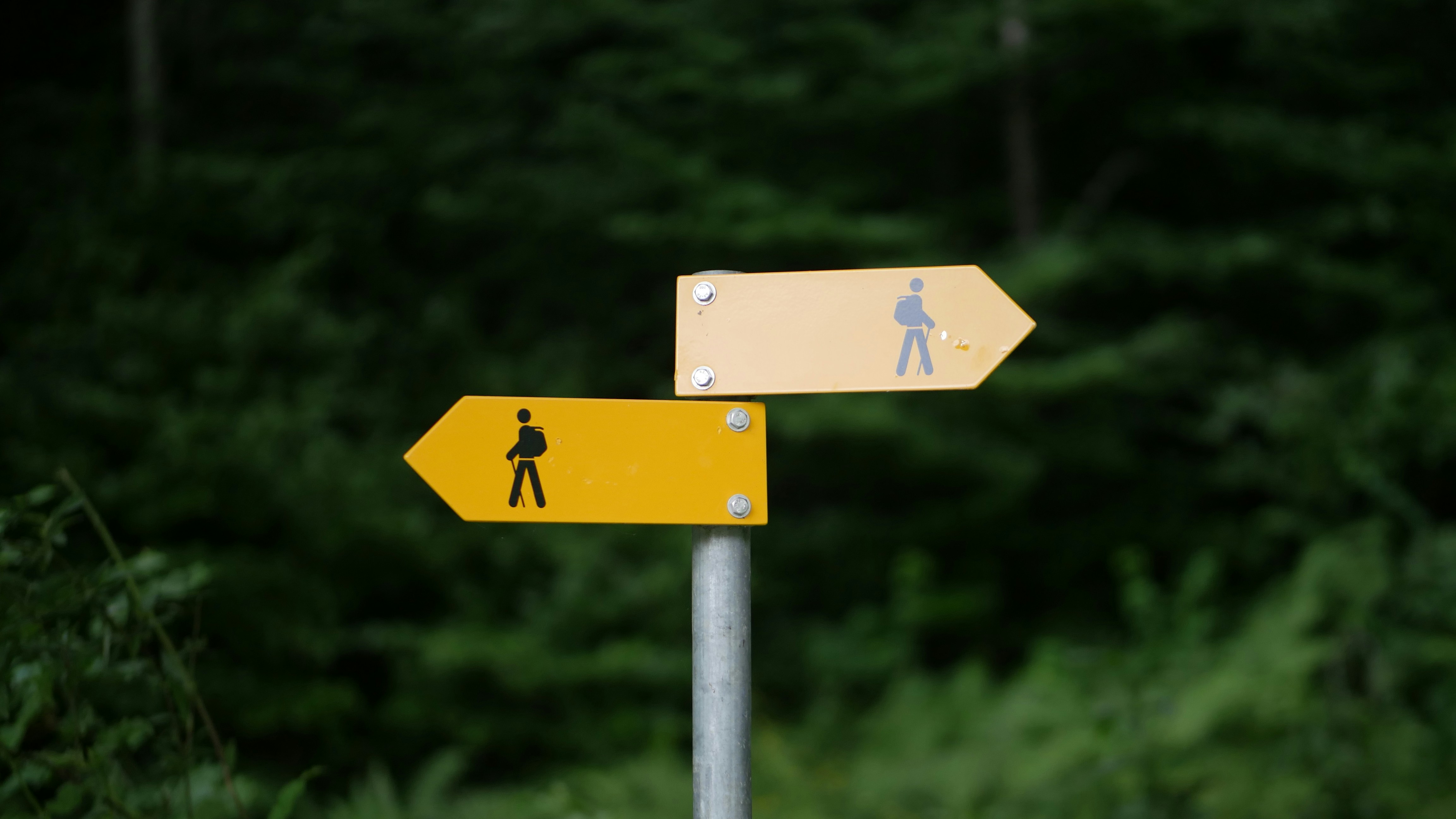 Sourced vs. Cited in der KI-Suche: Was ist der Unterschied?