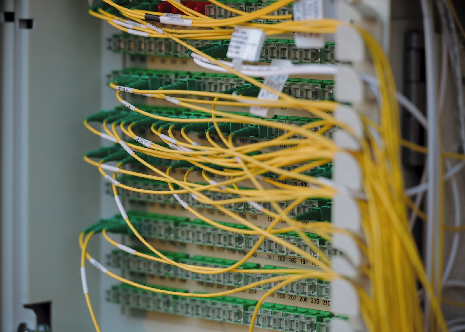 IT and digital consulting firms