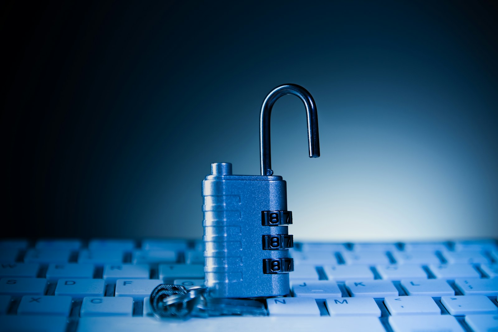 Cybersecurity software